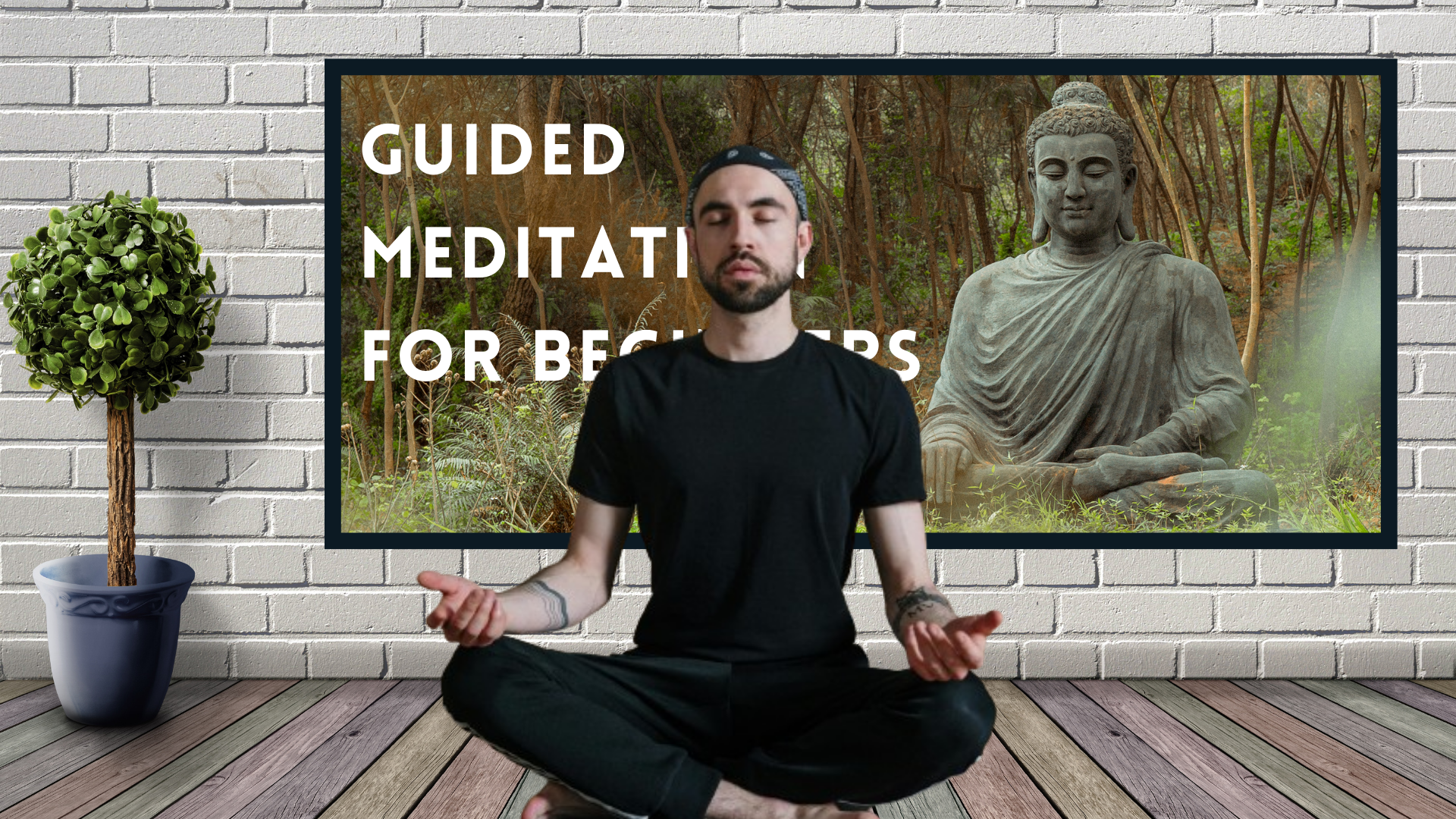 Guided Meditation for Beginners