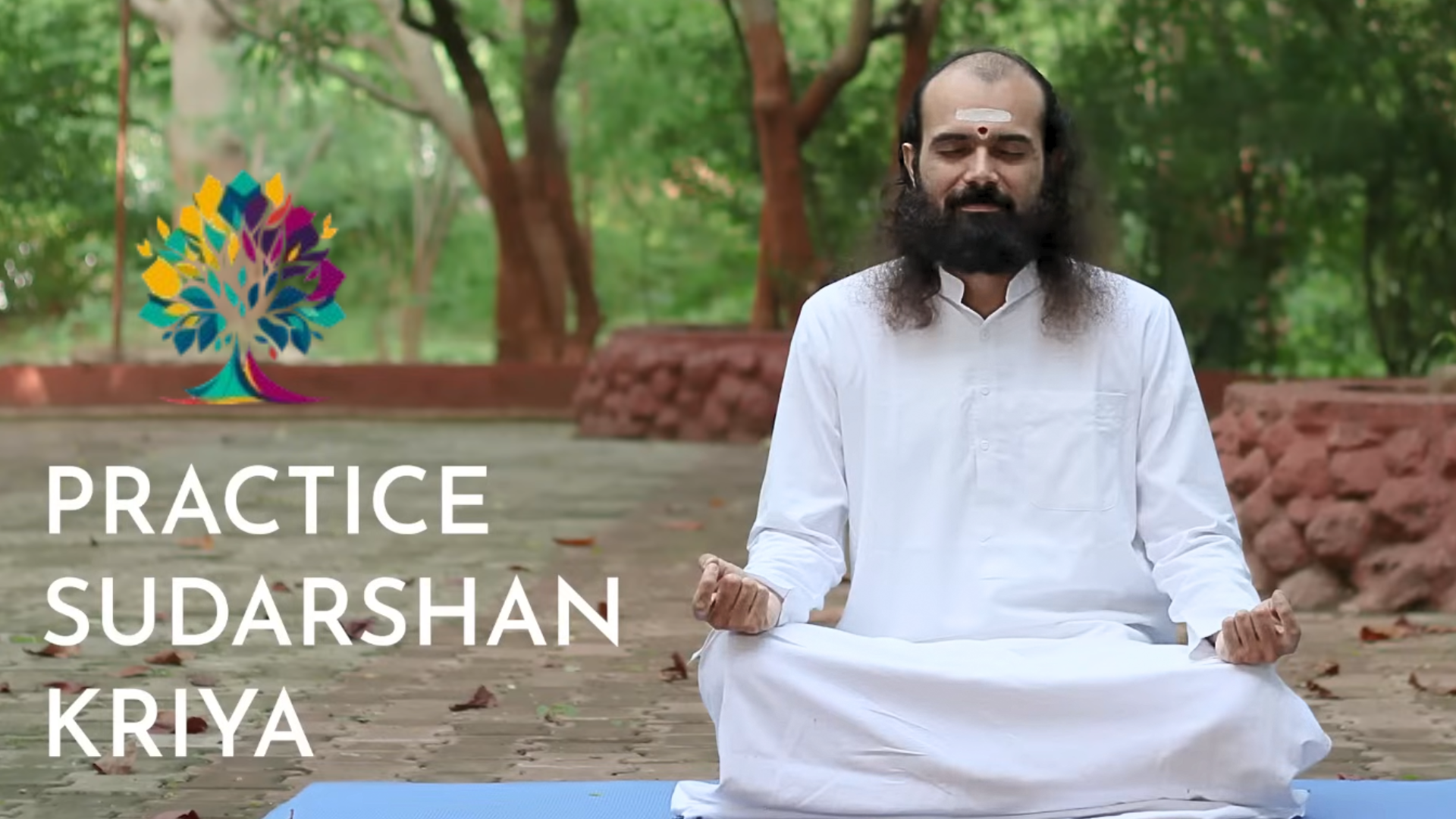 Art of Living Sudarshan Kriya