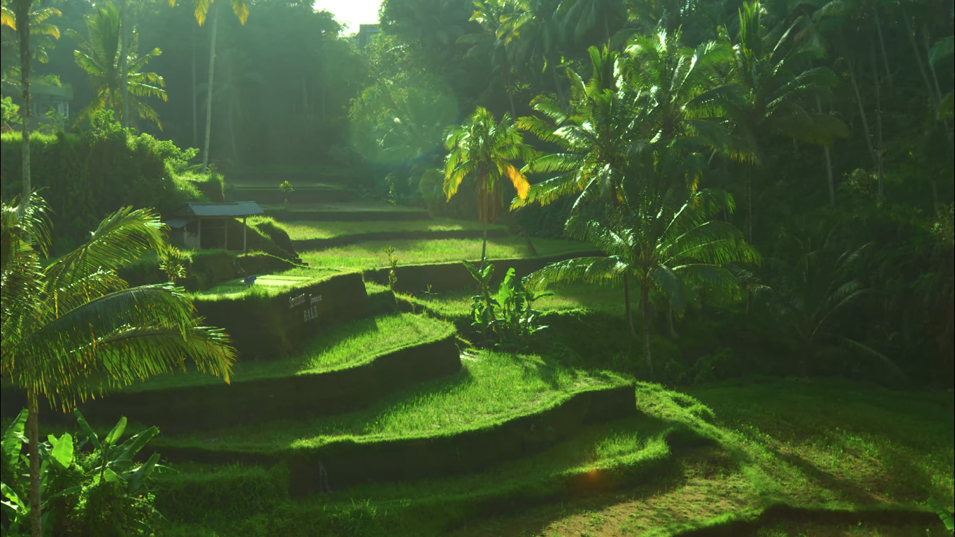 Why is the Top Destination for Yoga Retreats Bali