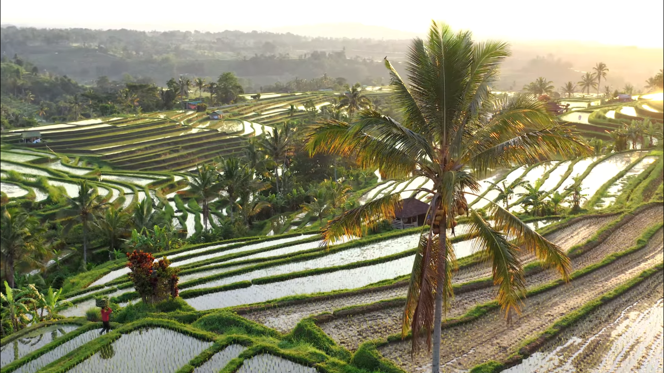 Why is the Top Destination for Yoga Retreats Bali