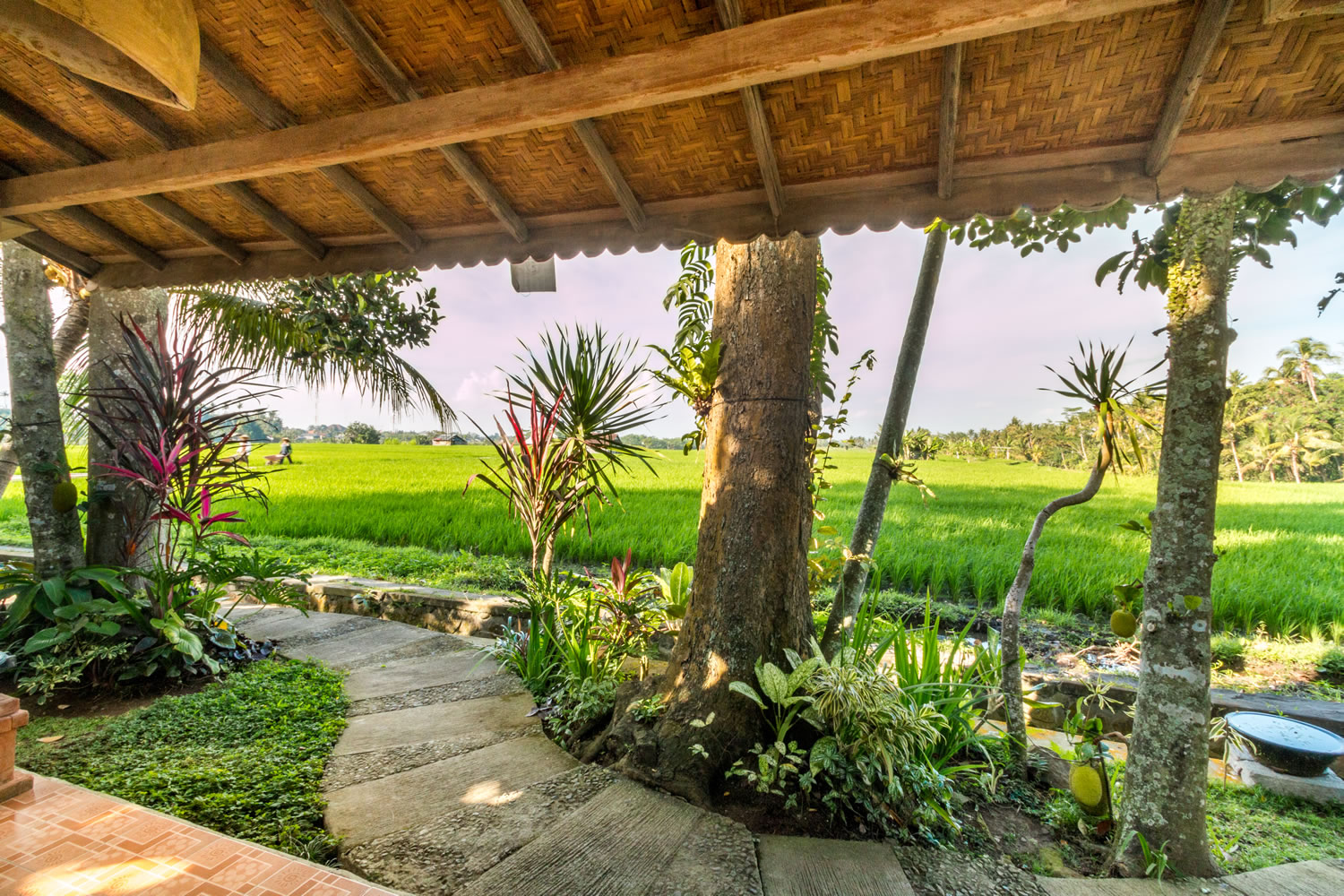 Top 3 Days Yoga, Meditation & Wellness Retreat in Bali – Best serene stay and peaceful environment for deep relaxation.